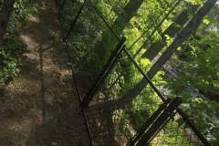 504000585_122235924584036873_8913347851713960579_n