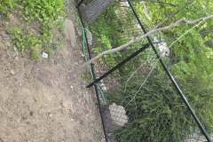 504104221_122235924680036873_8539051233475882822_n