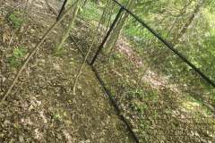 504212601_122235952838036873_4297884605808717575_n