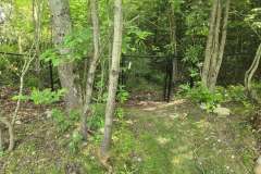 504382409_122235861290036873_6239259524726911505_n